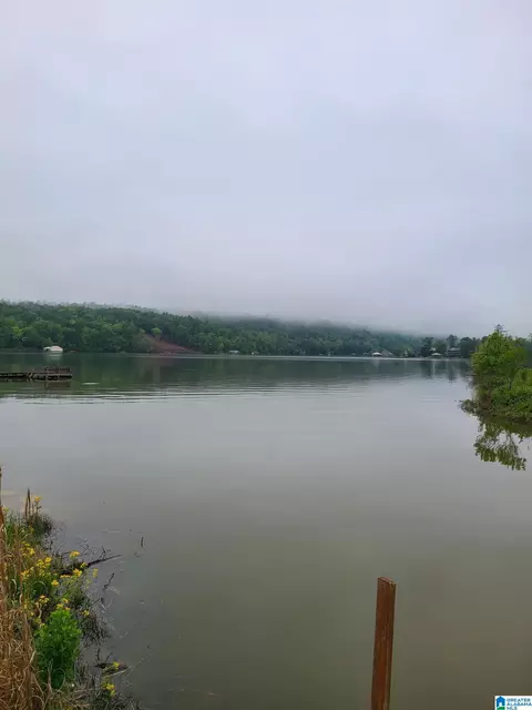 170 Journeys End Rd #4, Ashville, AL 35953
