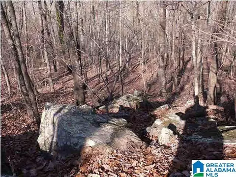5620 S Shades Crest Rd #1, Helena, AL 35022