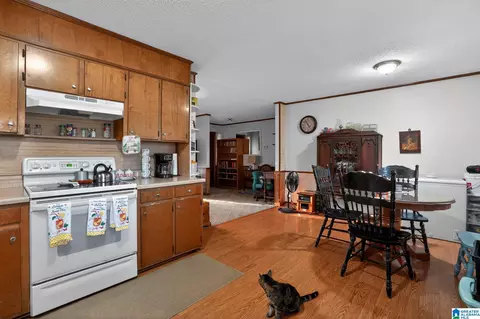 Other - 33 Helens Rd, Parrish, AL 35580 photo 4 of 6