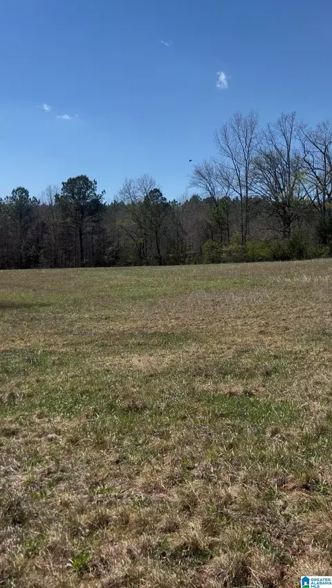 2122 County Road 42 #NA, Calera, AL 35040