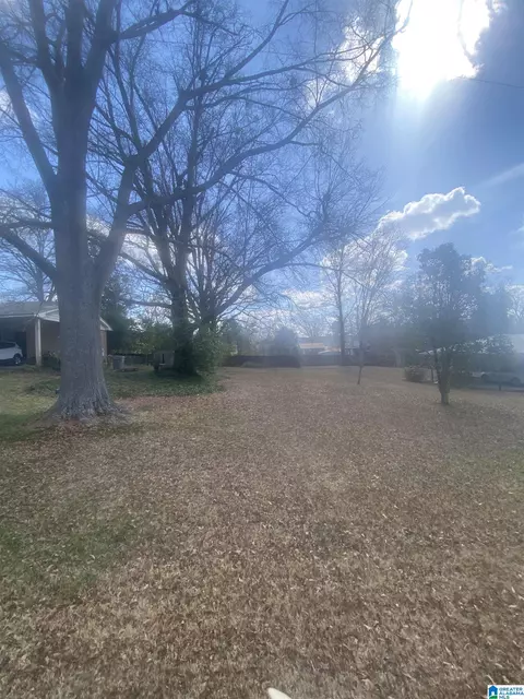 Other - 56 Glen Dr, Thorsby, AL 35171 photo 4 of 7