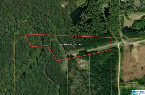 6 1 Acres Bent Twig Ln #6.1 ACRES, Brookwood, AL 35444