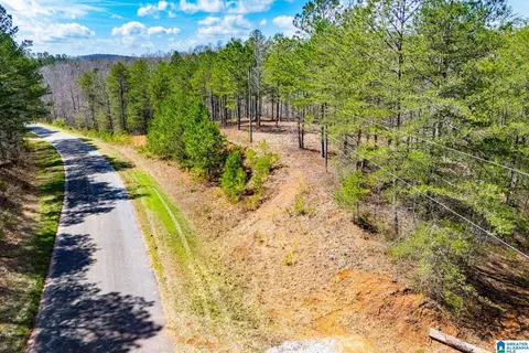 23 Acres County Road 7 #00, Wedowee, AL 36278