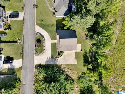 View/Area - 235 White Oak Loop, Cullman, AL 35057 photo 13 of 13