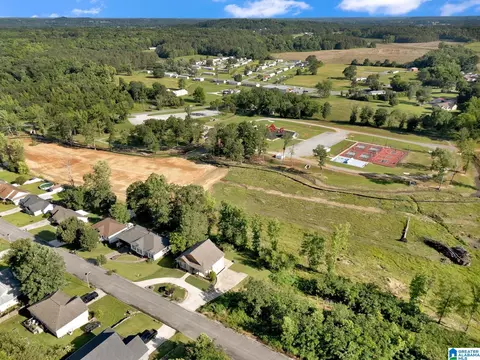 View/Area - 235 White Oak Loop, Cullman, AL 35057 photo 8 of 13