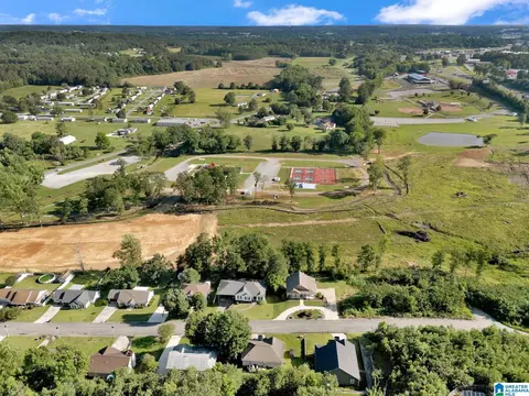 View/Area - 235 White Oak Loop, Cullman, AL 35057 photo 9 of 13