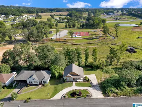 View/Area - 235 White Oak Loop, Cullman, AL 35057 photo 5 of 13
