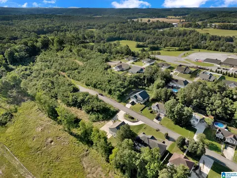 View/Area - 235 White Oak Loop, Cullman, AL 35057 photo 10 of 13