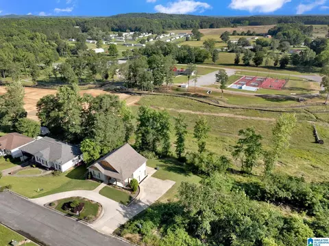 View/Area - 235 White Oak Loop, Cullman, AL 35057 photo 6 of 13