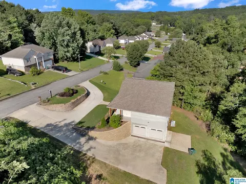 View/Area - 235 White Oak Loop, Cullman, AL 35057 photo 3 of 13