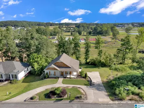 View/Area - 235 White Oak Loop, Cullman, AL 35057 photo 2 of 13