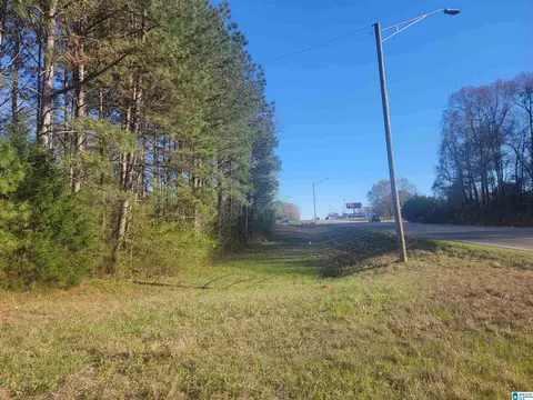 3 02- Acres Highway 431 #PARCEL 3, Roanoke, AL 36274