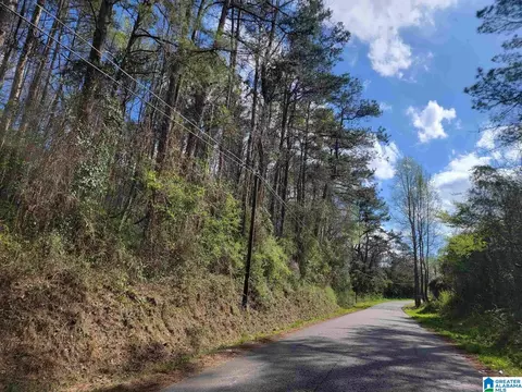 6 27 Acres Lamar St #PARCEL 1, Roanoke, AL 36274
