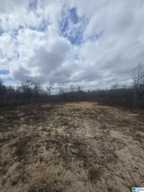 0 County Road 351 #1, Maplesville, AL 36750
