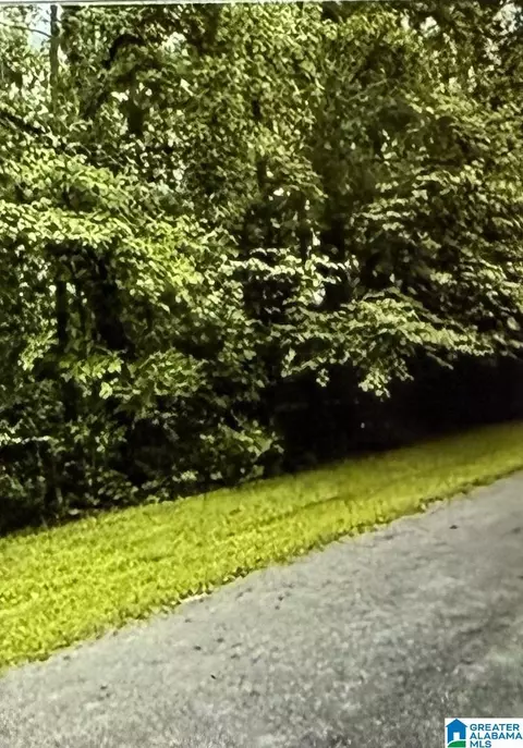 lot11 Canal St #11, Childersburg, AL 35044
