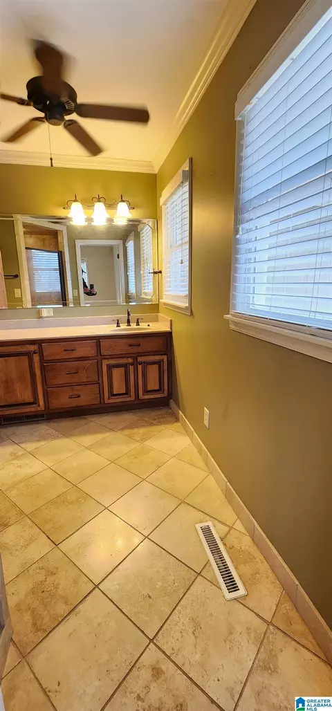 Bath - 33 Pine Cir, Oneonta, AL 35121 photo 3 of 5