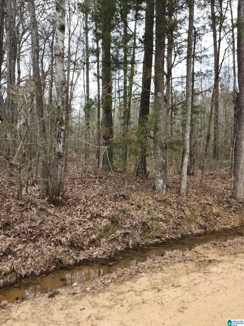 0 County Road 495 #1, Verbena, AL 36091