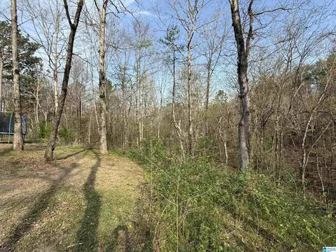 Exterior - 465 Panoramic Cir, Warrior, AL 35180 photo 5 of 10