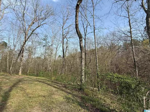 Other - 465 Panoramic Cir, Warrior, AL 35180 photo 23 of 28