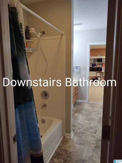 Bath - 3409 Red Valley Rd, Remlap, AL 35133 photo 8 of 11