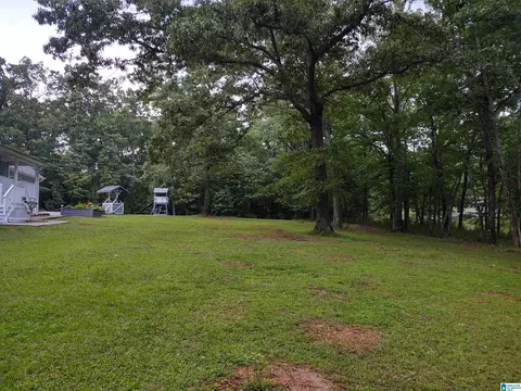 Exterior - 3409 Red Valley Rd, Remlap, AL 35133 photo 14 of 16