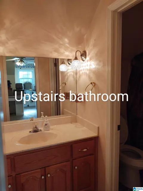 Bath - 3409 Red Valley Rd, Remlap, AL 35133 photo 6 of 11