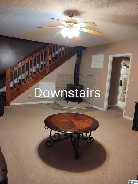 Other - 3409 Red Valley Rd, Remlap, AL 35133 photo 9 of 16