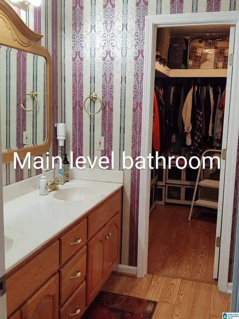 Bath - 3409 Red Valley Rd, Remlap, AL 35133 photo 2 of 11