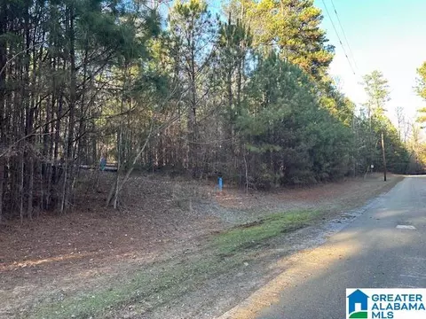 lot13 County Road 730 #1, Clanton, AL 35045