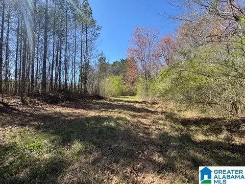 26315 Highway 77 #TRACT 1 40 AC, Wadley, AL 36276