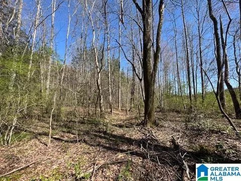 26205 Highway 77 #TRACT 2 30 AC, Wadley, AL 36276