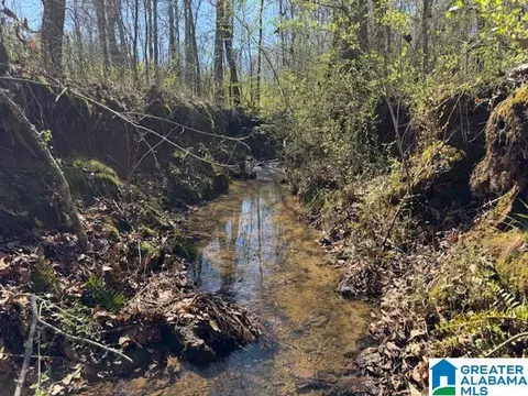 825 County Road 79 #TRACT 3 68 AC, Wadley, AL 36276
