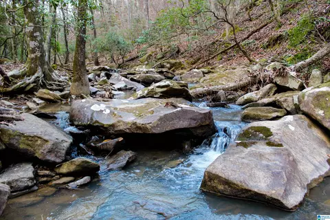 00 County Road 38 #00, Northport, AL 35475