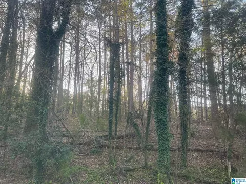 tracy street, Jasper, AL 35504
