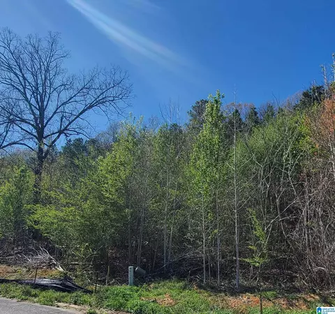 5924 High Forest Dr #79, Mc Calla, AL 35111