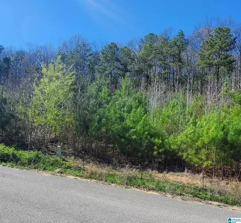 5920 High Forest Dr #80, Mc Calla, AL 35111