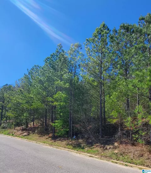 5912 High Forest Dr #82, Mc Calla, AL 35111