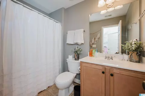 Bath - 45 White Oak Cir, Dora, AL 35062 photo 9 of 12