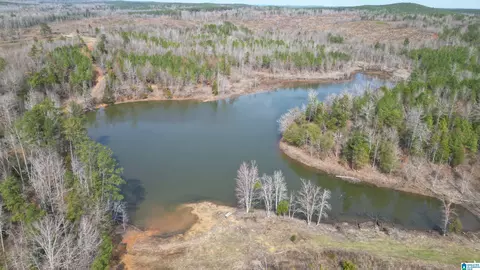 o Bluebird Lane #1, Centreville, AL 35042