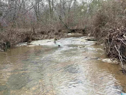 0 Mims Ferry Rd #1, Clanton, AL 35046