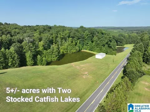 5 21acres County Road 61 #5.21 ACRES, Roanoke, AL 36274