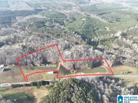 5 21acres County Road 61 #5.21 ACRES, Roanoke, AL 36274