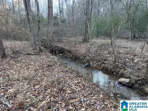 170 Valley Grove Rd #45 AC, New Site, AL 35010
