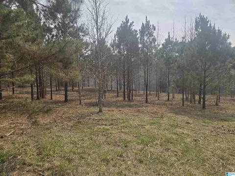 000 County Road 108 #10, Rockford, AL 35136