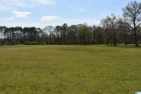 2323 Motes Rd #0, Sylacauga, AL 35150