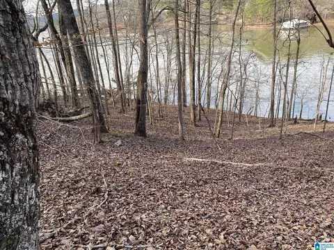 mohawk cliff road, Ohatchee, AL 36271 photo 5