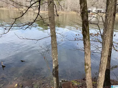 mohawk cliff road, Ohatchee, AL 36271 photo 2