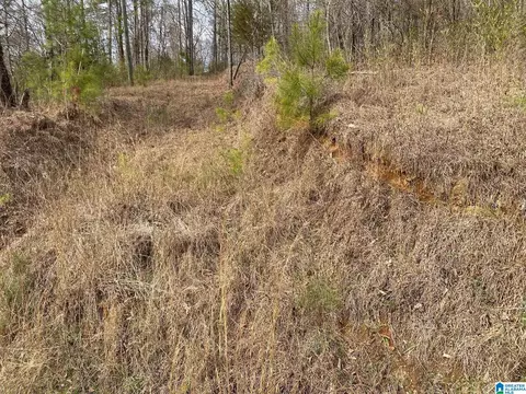 mohawk cliff road, Ohatchee, AL 36271 photo 9