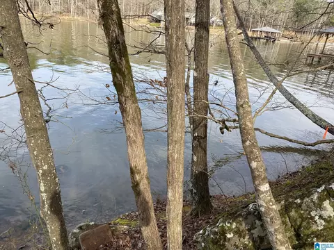 mohawk cliff road, Ohatchee, AL 36271 photo 3