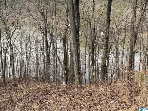 mohawk cliff road, Ohatchee, AL 36271 photo 6